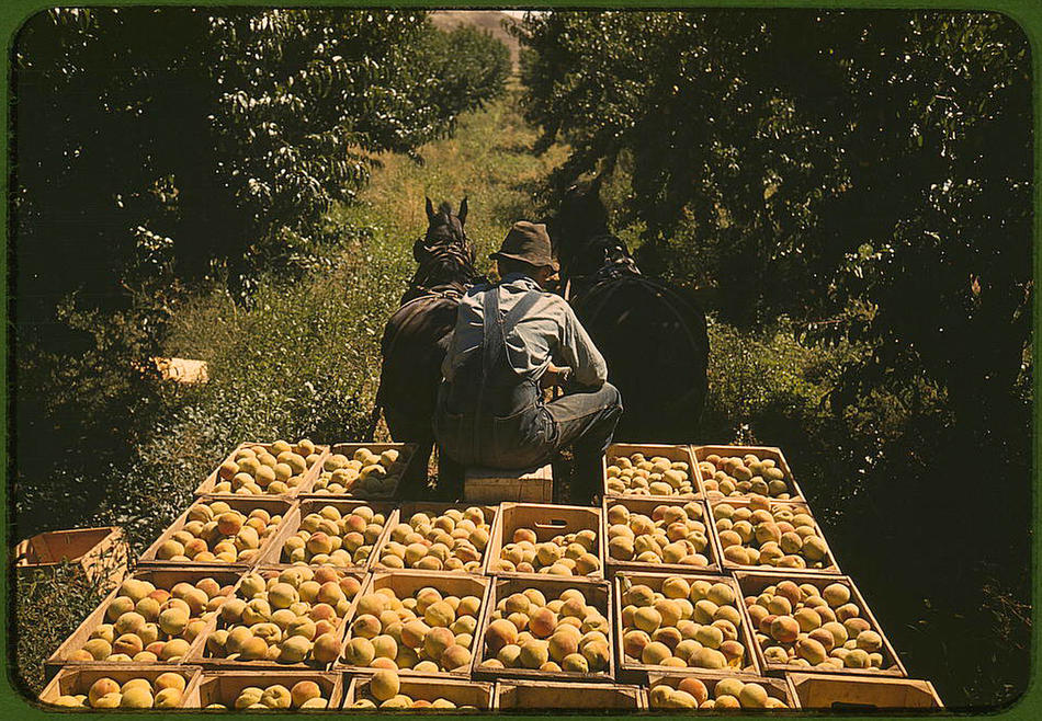 color024.sJPG_950_2000_0_75_0_50_50.sJPG